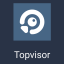 ТОПВИЗОР